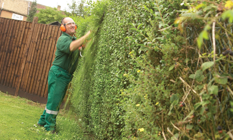 Hedge Cutting