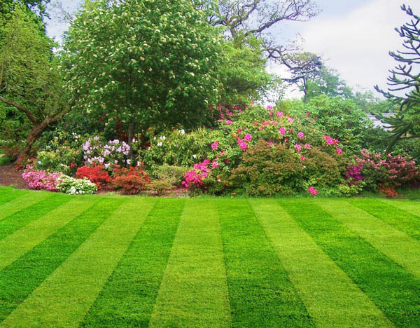 Perfect Lawns