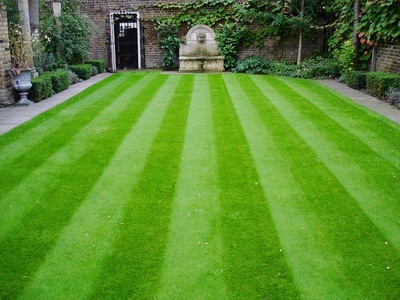 The Perfect Lawn