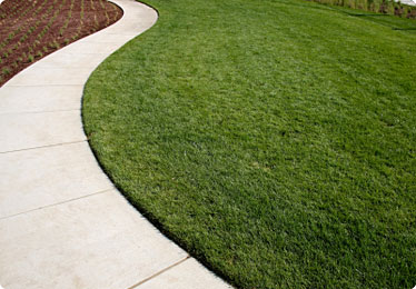 Landscaped Lawn